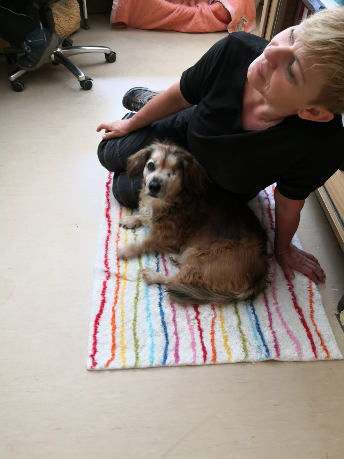 Poldi › Tierheim Rastatt