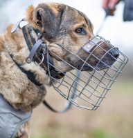 WhatsApp Image 2026-01-03 at 11.48.14