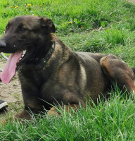 IMG_20230502_161402 1