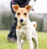 WhatsApp Image 2025-02-05 at 15.59.05 (1)