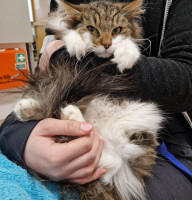 WhatsApp Image 2025-03-14 at 12.44.20