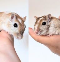 20250819_172744_0000