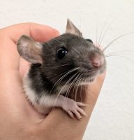 PXL_20250731_123103332~2