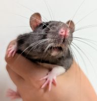 PXL_20250731_123154244~2