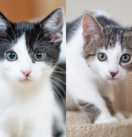 20251201_220031_0000