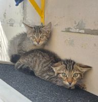Hagen und Erika