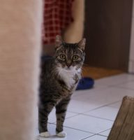 WhatsApp Image 2026-08-27 at 14.40.19 (3)